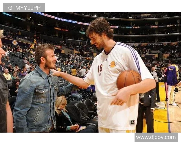 足球明星与NBA明星的广告收入对比分析及其影响因素探讨