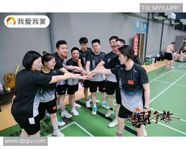 南京羽毛球队在全国羽毛球力量排行榜中荣获第八名展现强劲实力与团队精神